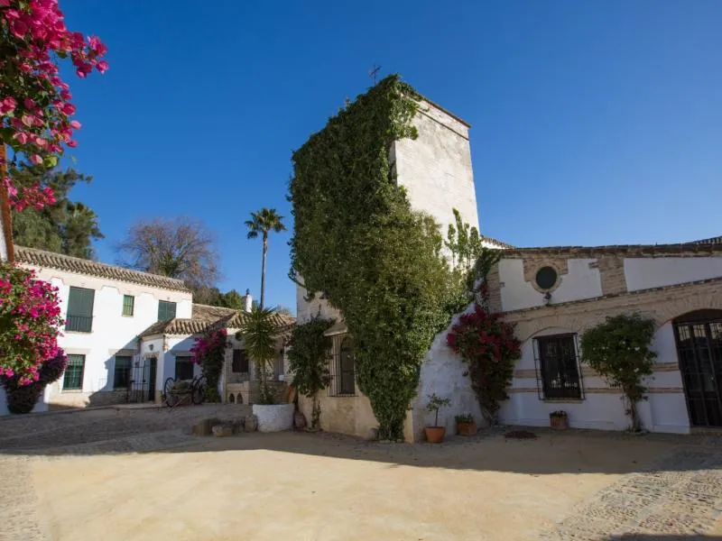 Clase de Zumba en Espartinas
